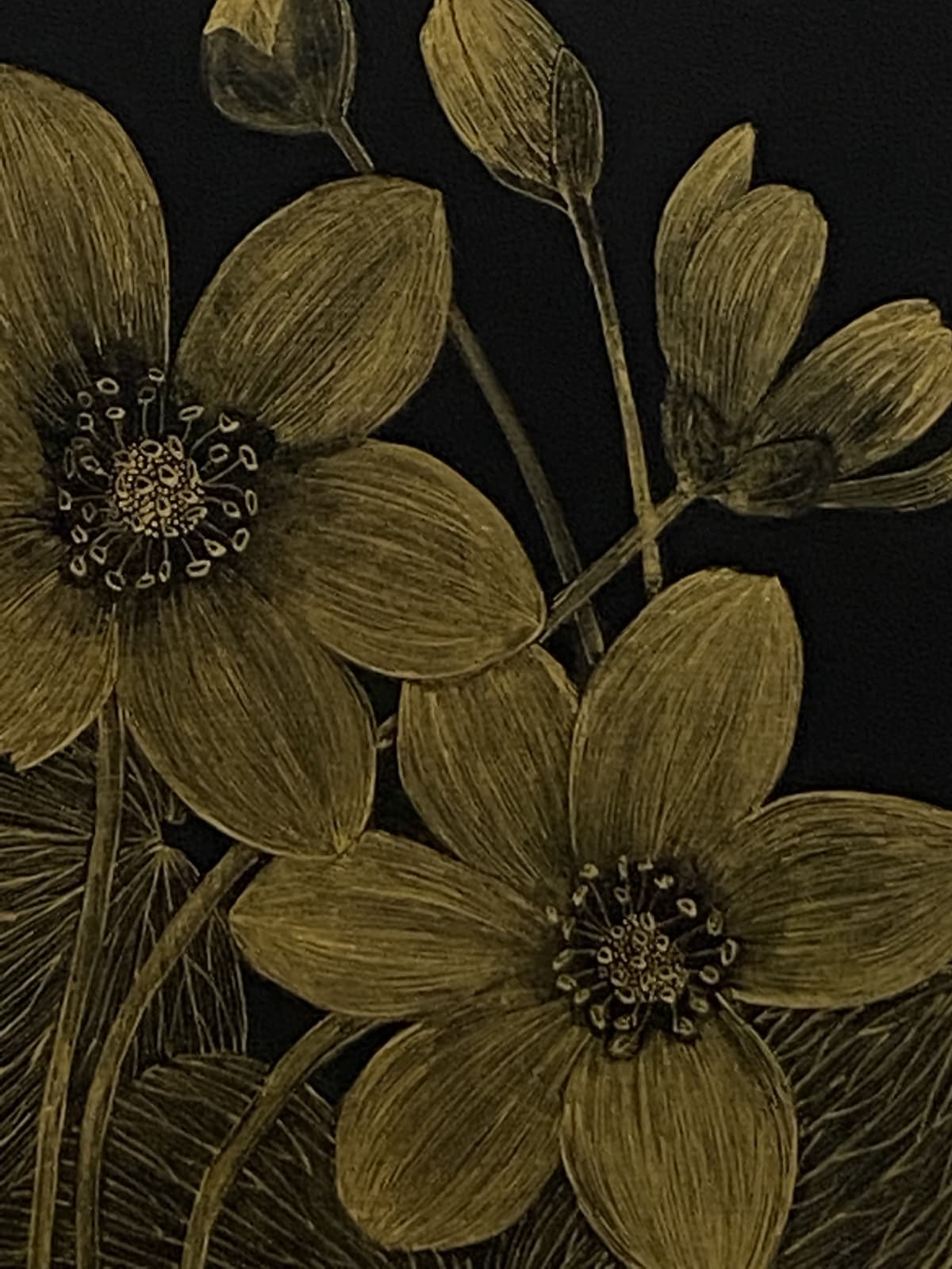 Margot Glass, Anemone 1, 2021