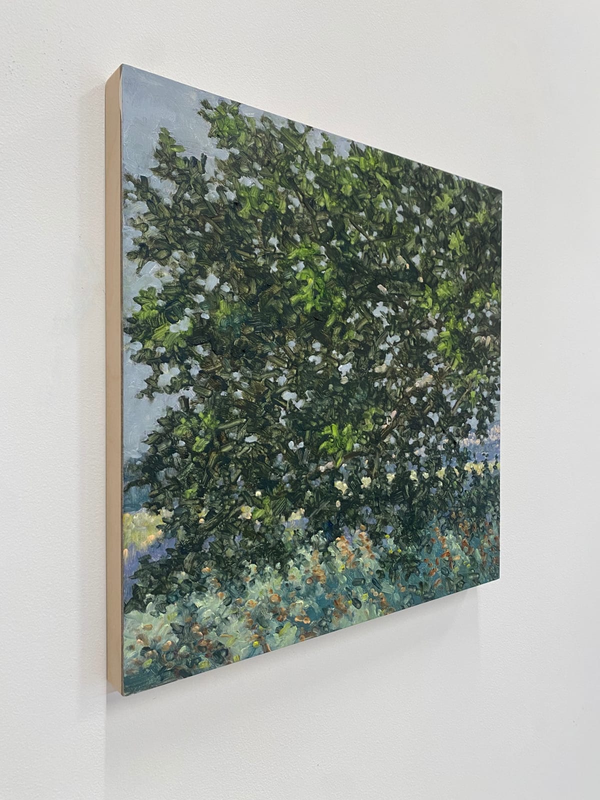 Thomas Sarrantonio, Field Painting July 15, 2022