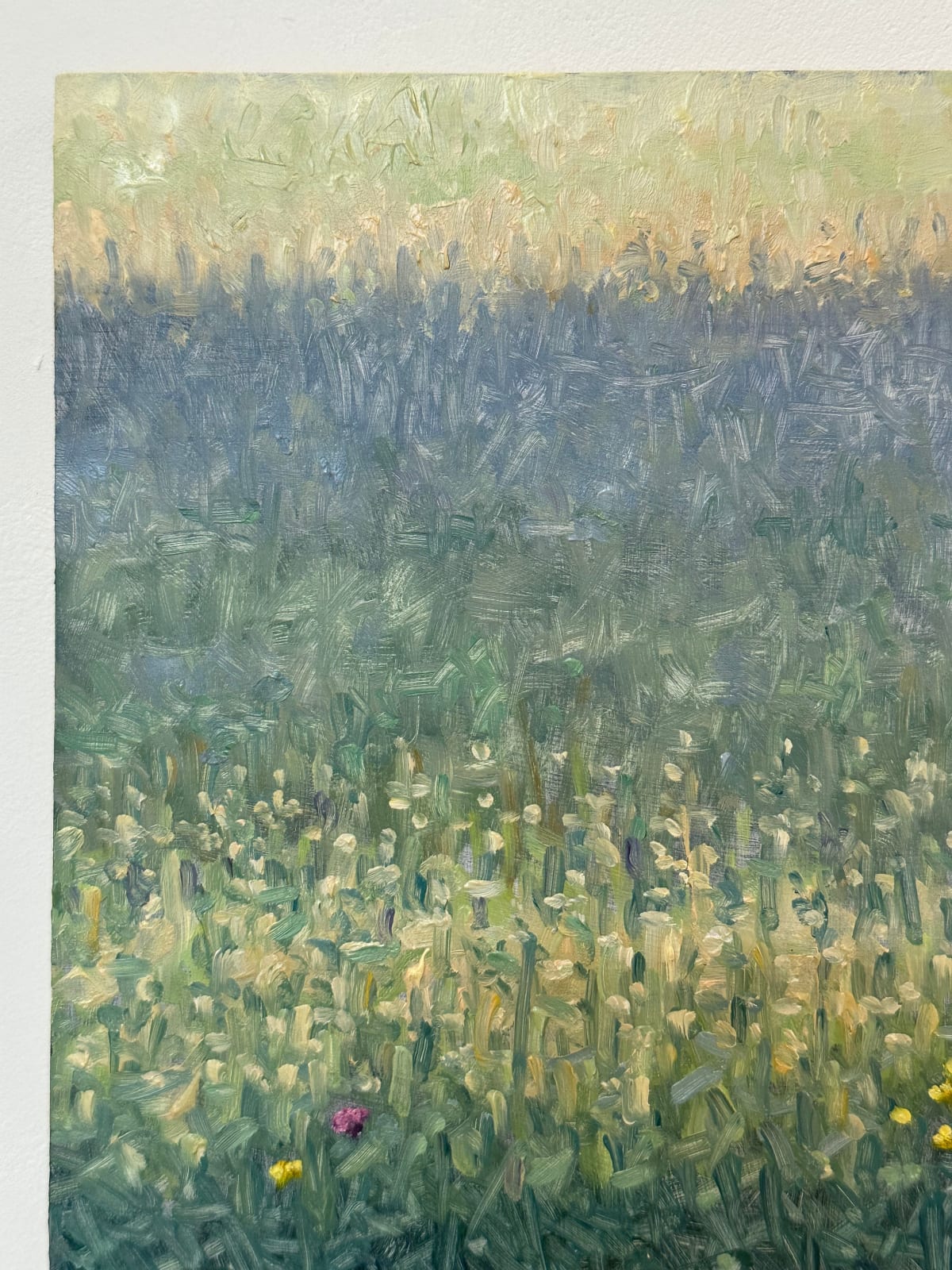 Thomas Sarrantonio, Field Painting June 19, 2023