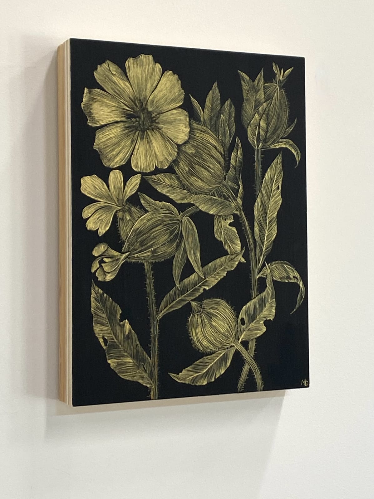 Margot Glass, White Campion, 2021