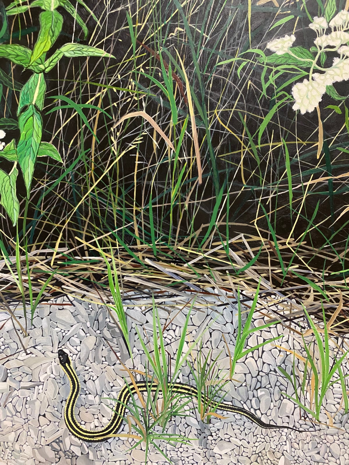 Amanda Acker, Slithering In, 2023