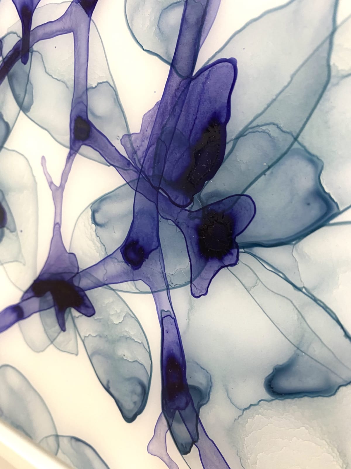 Jackie Battenfield, Sotto voce cs1, 2012