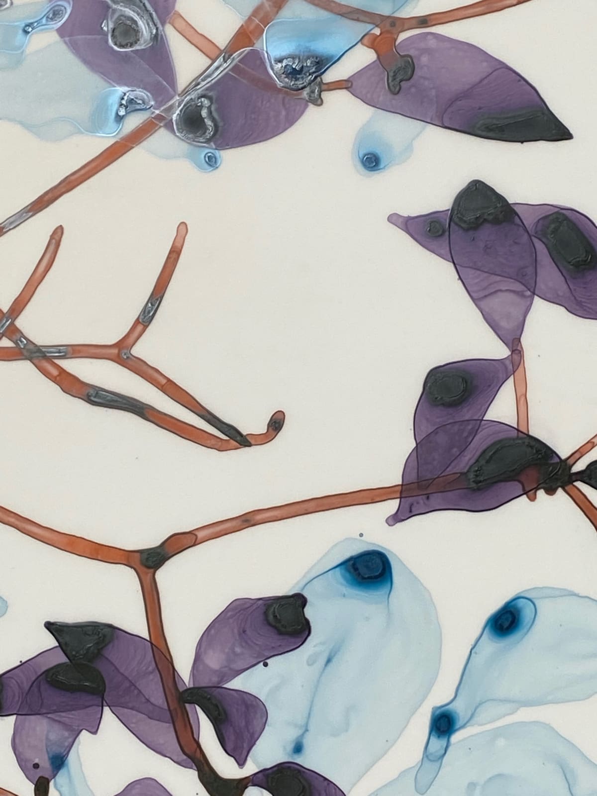 Jackie Battenfield, April Frost cs1, 2022