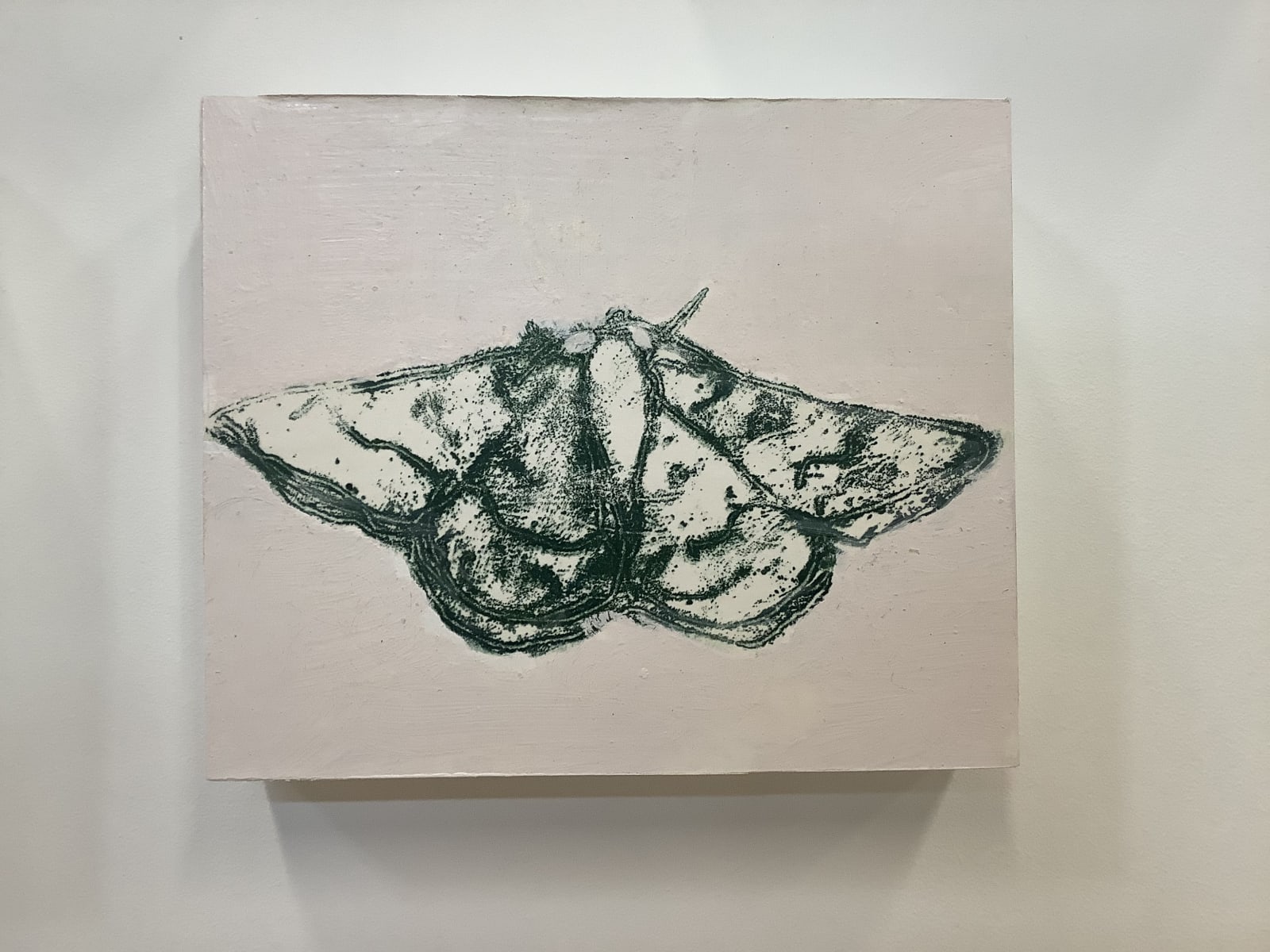 David Konigsberg, Moth #3, 2020