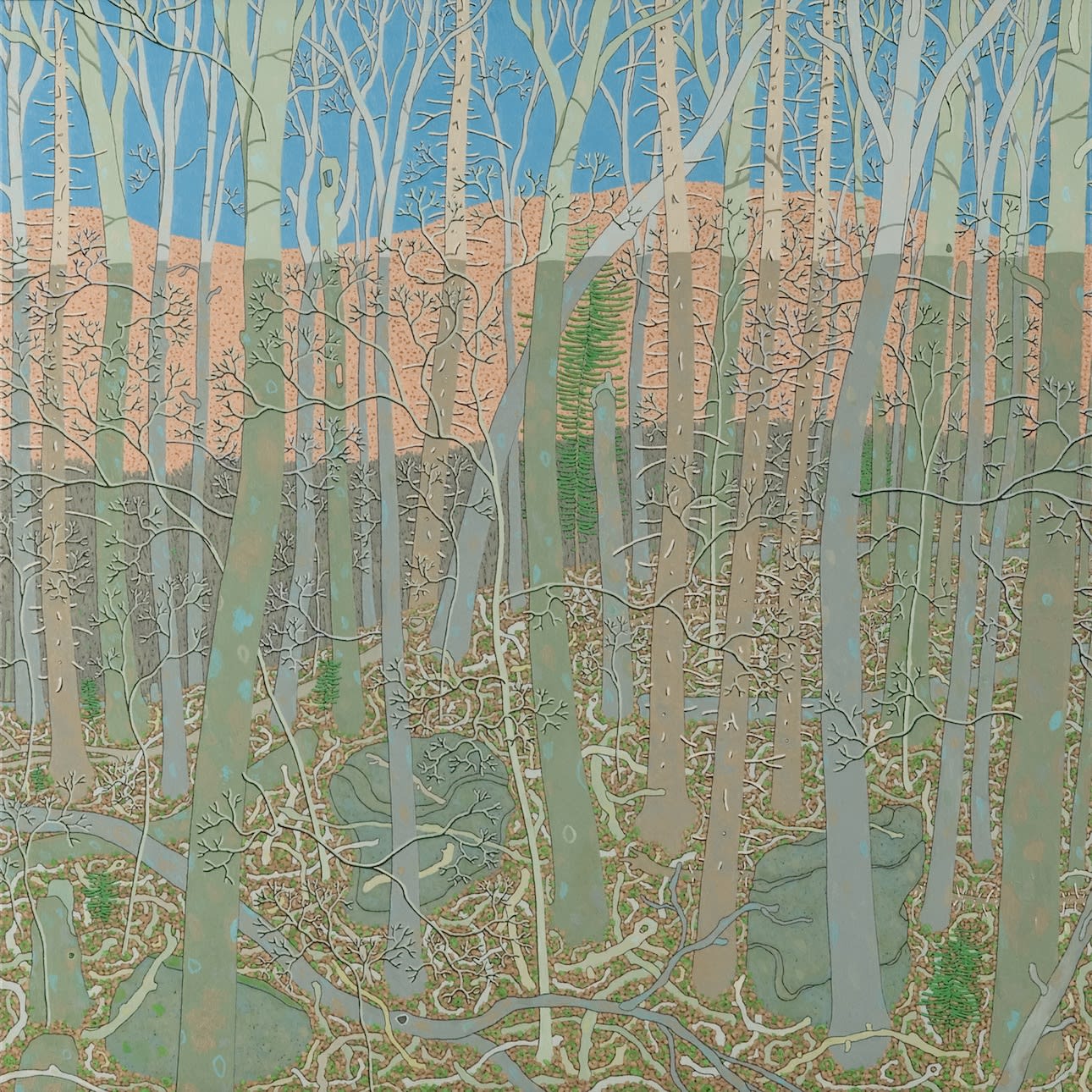 Gregory Hennen, Wyatt Mountain Shadow February, 2012