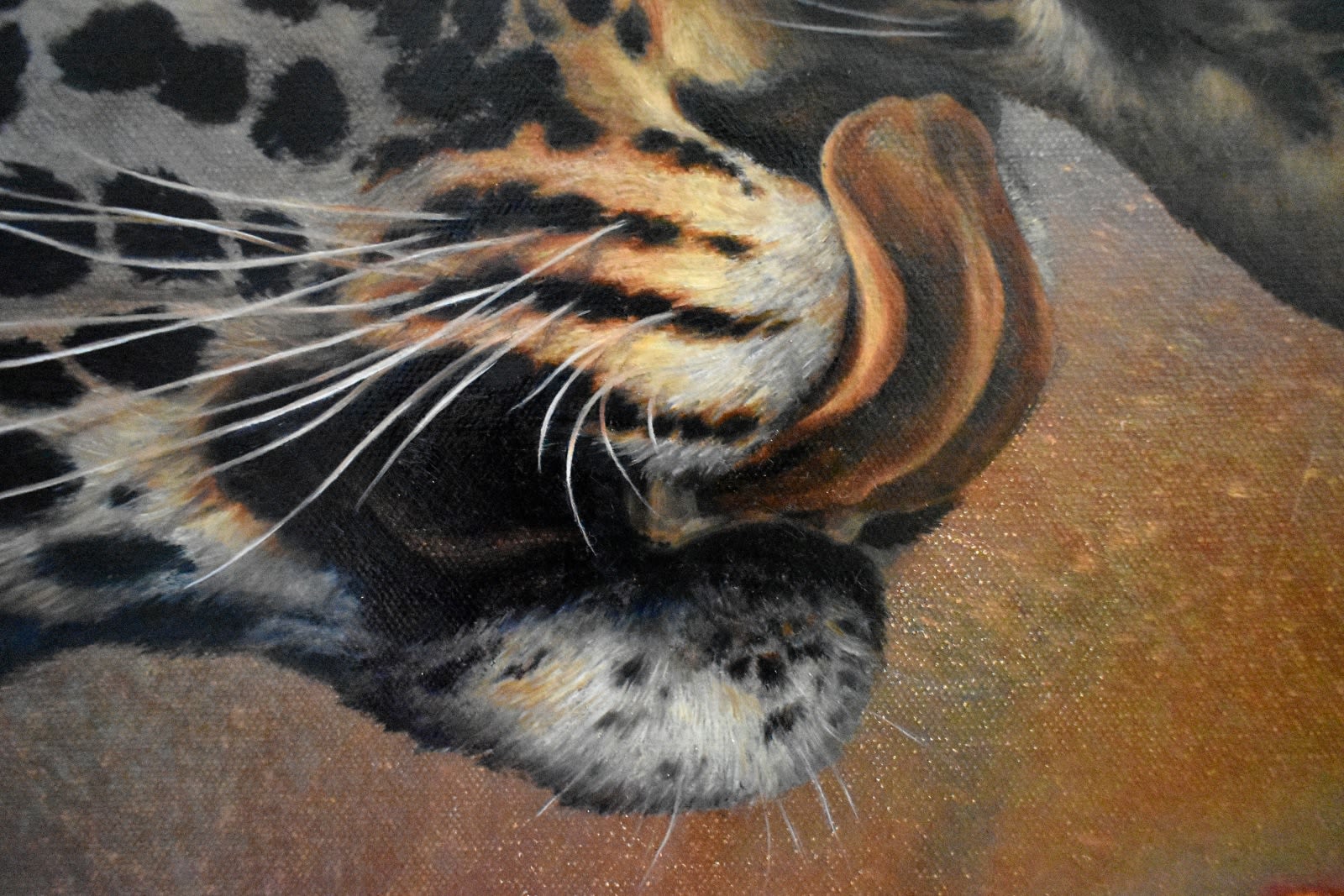 Francine Fox, Leopards of Mumbai, 2022