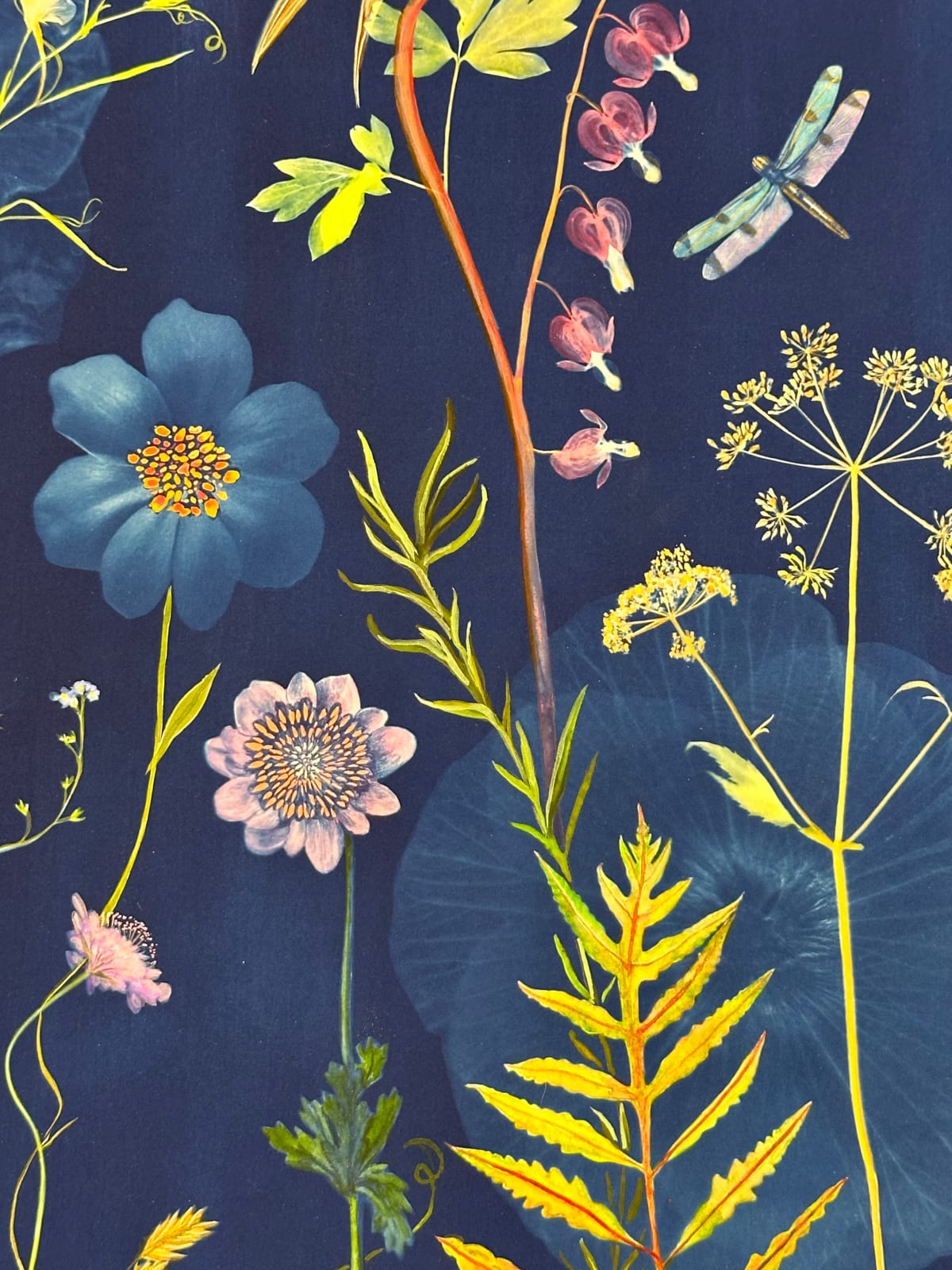 Julia Whitney Barnes, Picturesque Botany (Lily, Bleeding Hearts, Cosmos, Forget-me-not, Pollinators, etc.), 2024
