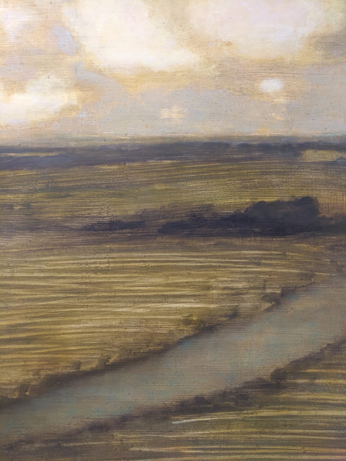 David Konigsberg, Field (with Creek), 2019