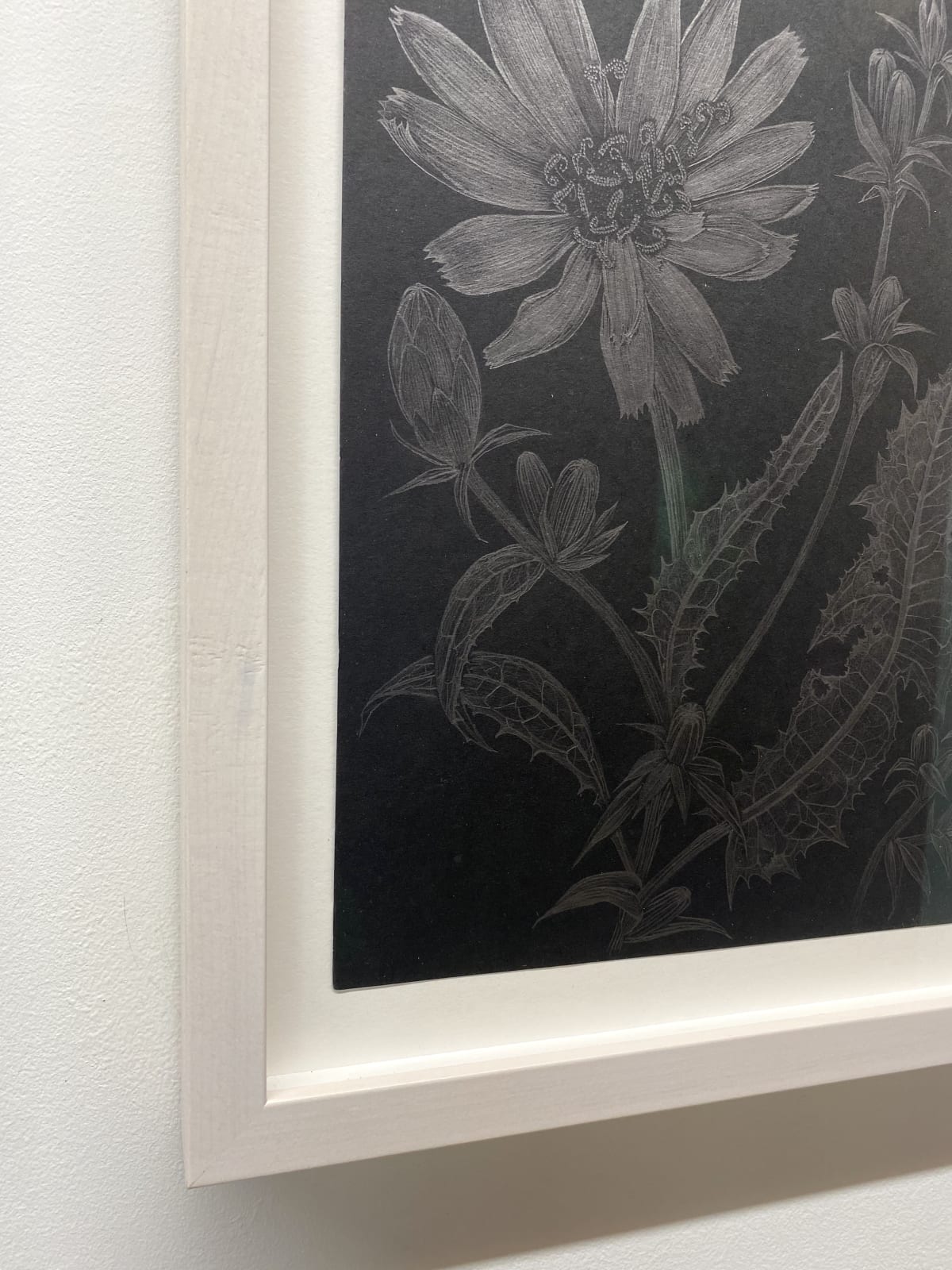 Margot Glass, Chicory 1, 2022