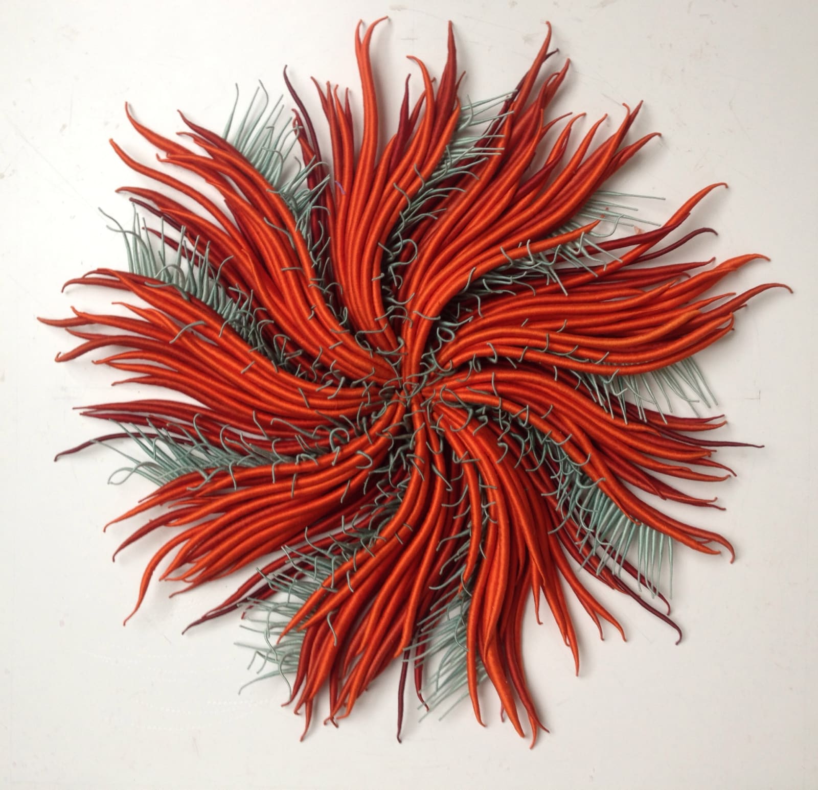 Catherine Latson, Specimen 13, 2019