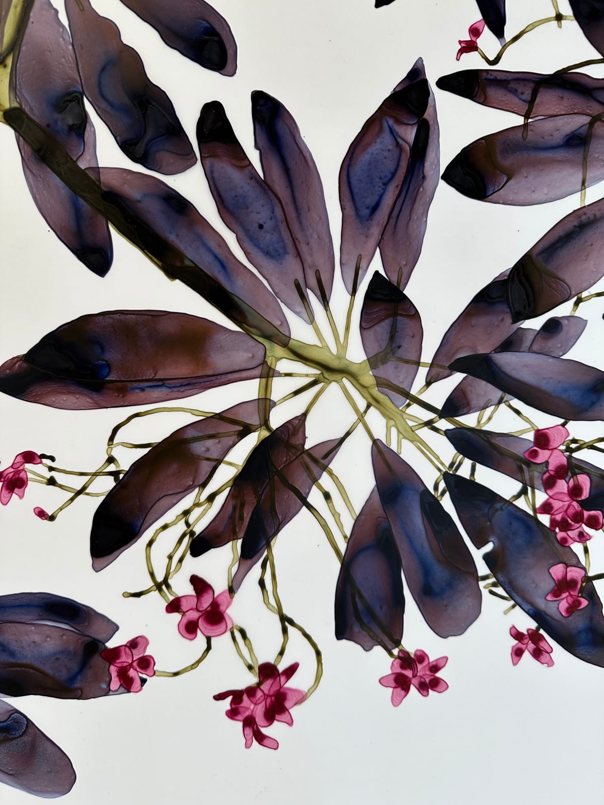 Jackie Battenfield, Whirligig Cs1, 2024