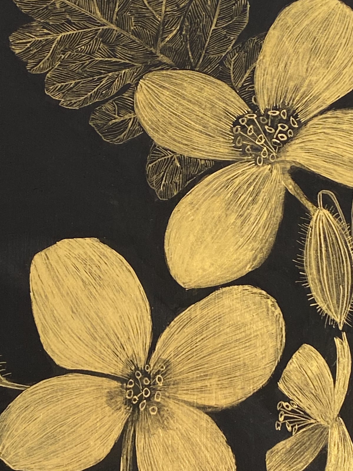 Margot Glass, Celandine, 2021