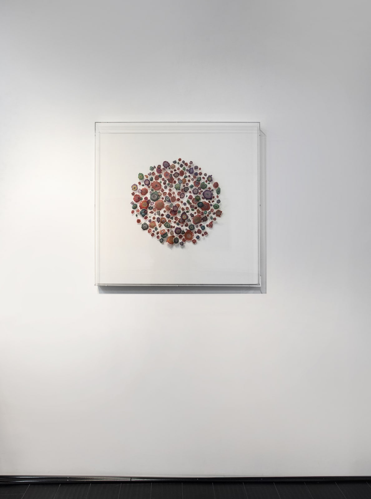 Jill Parisi, Polychrome Synusia, 2019