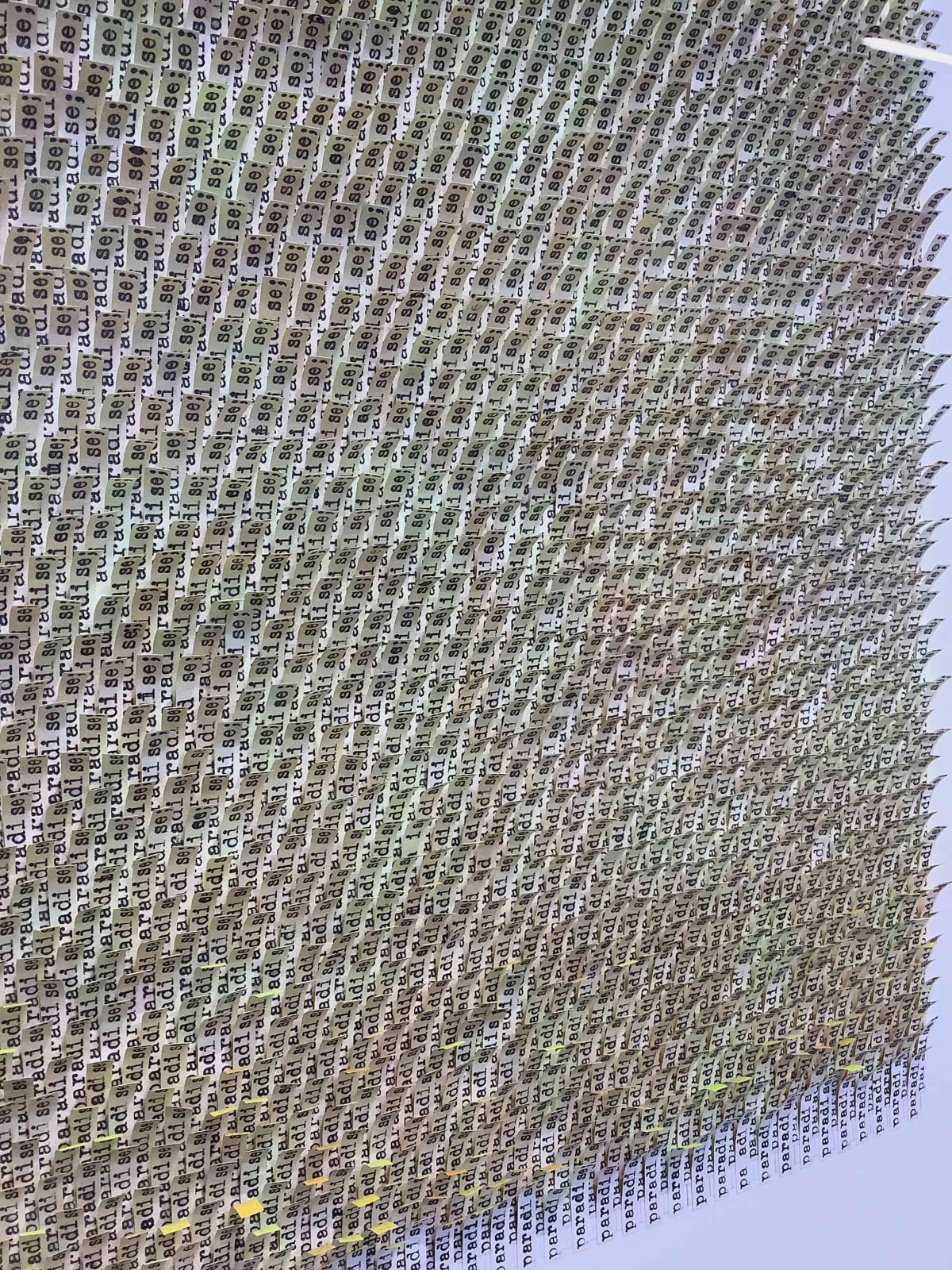 Meg Hitchcock, Paradise, 2019