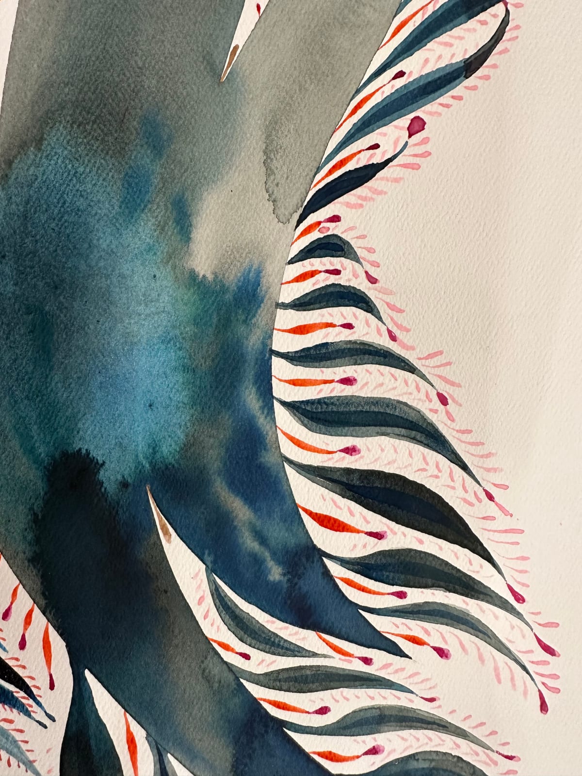 June Glasson, Delights 138, 2024