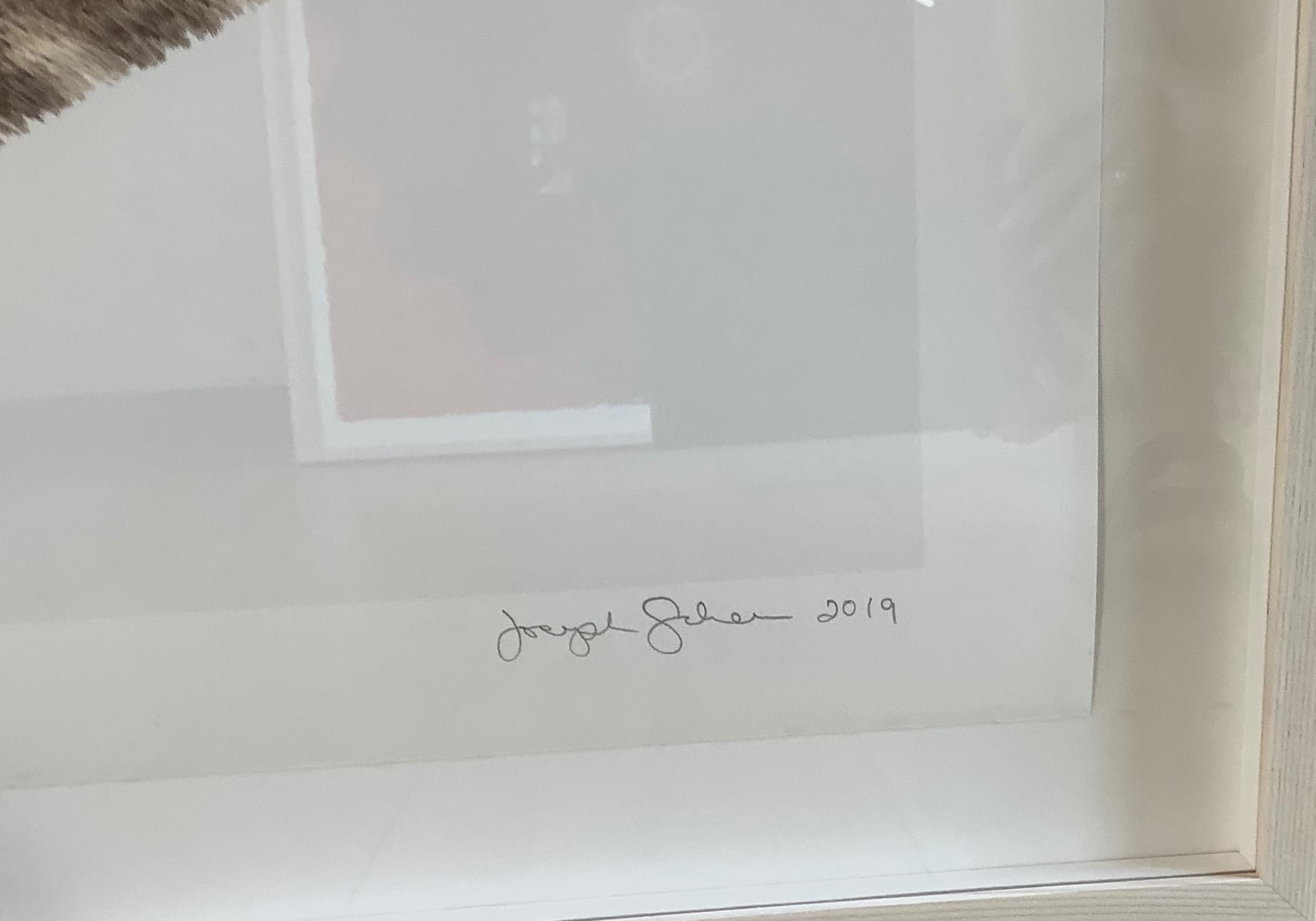 Joseph Scheer, Lymantria species, 2019