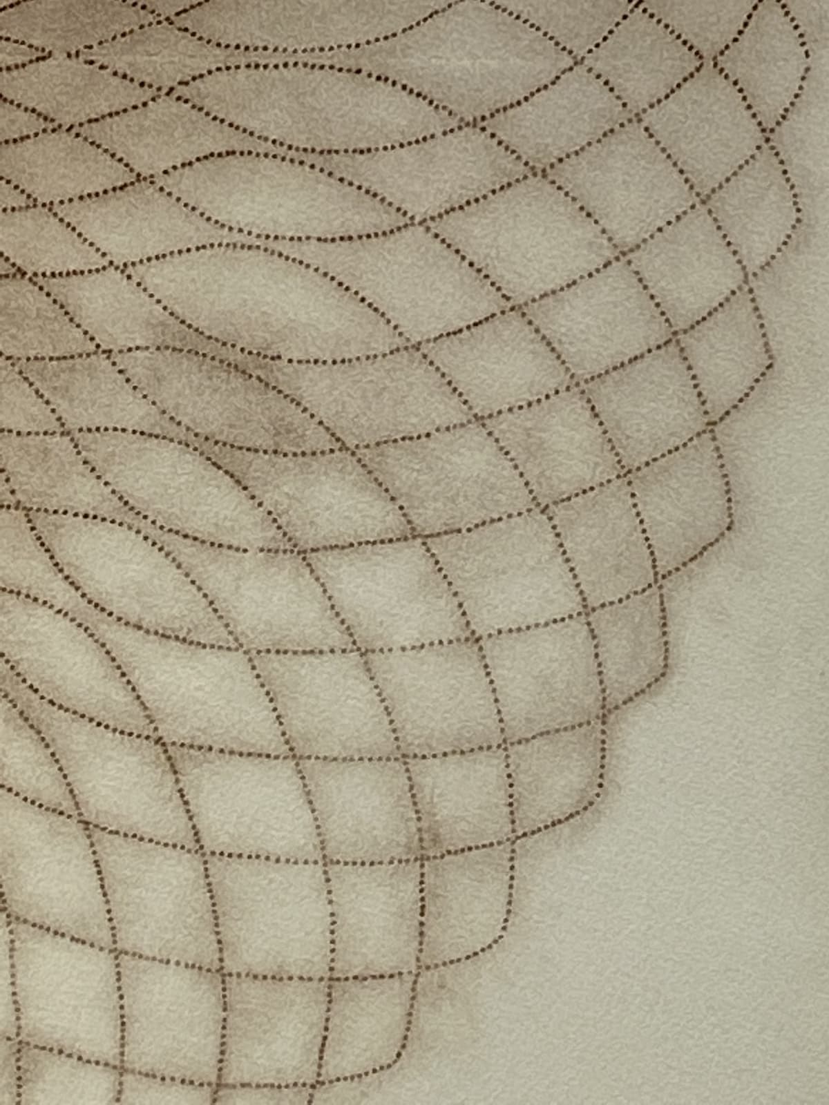 Mary Judge, Exotic Hex Series, 12/3, 2006