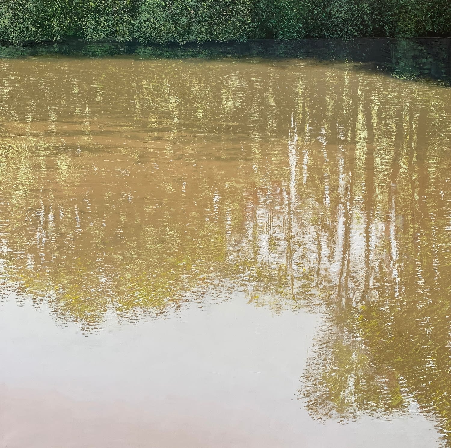 Benoît Trimborn, Riviere au soleil