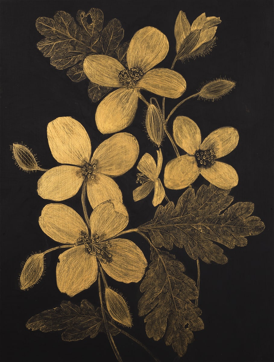 Margot Glass, Celandine, 2021