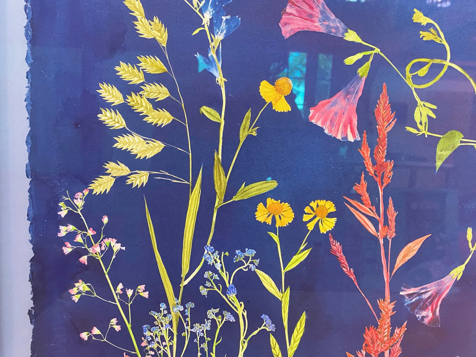 Julia Whitney Barnes, Cyanotype Painting (Morning Glories, Rose of Sharon, Hellenium, Swallowtail, etc.), 2021