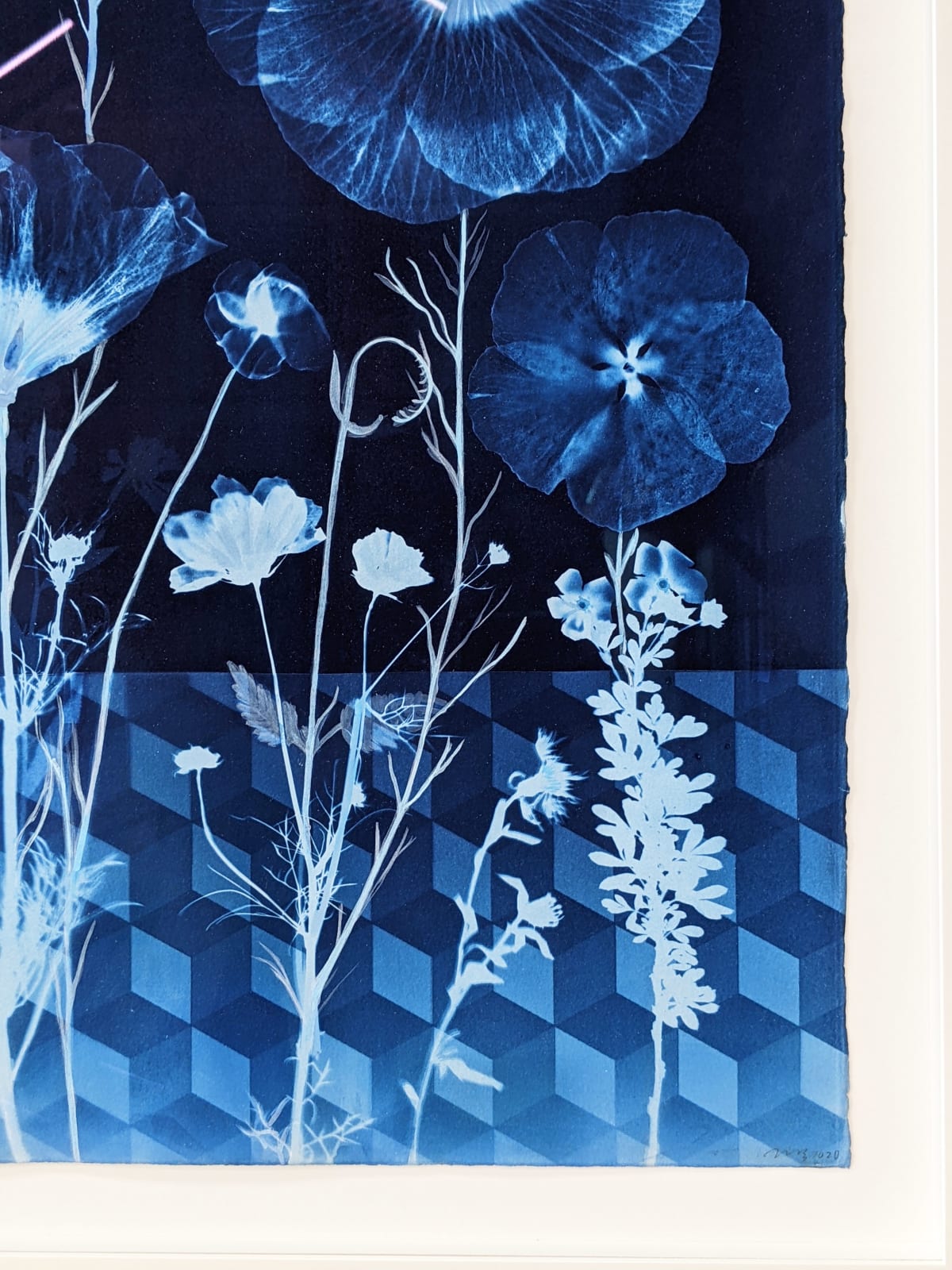 Julia Whitney Barnes, Cyanotype Painting (Hibiscus, Tumbling Block Floor Pattern), 2021