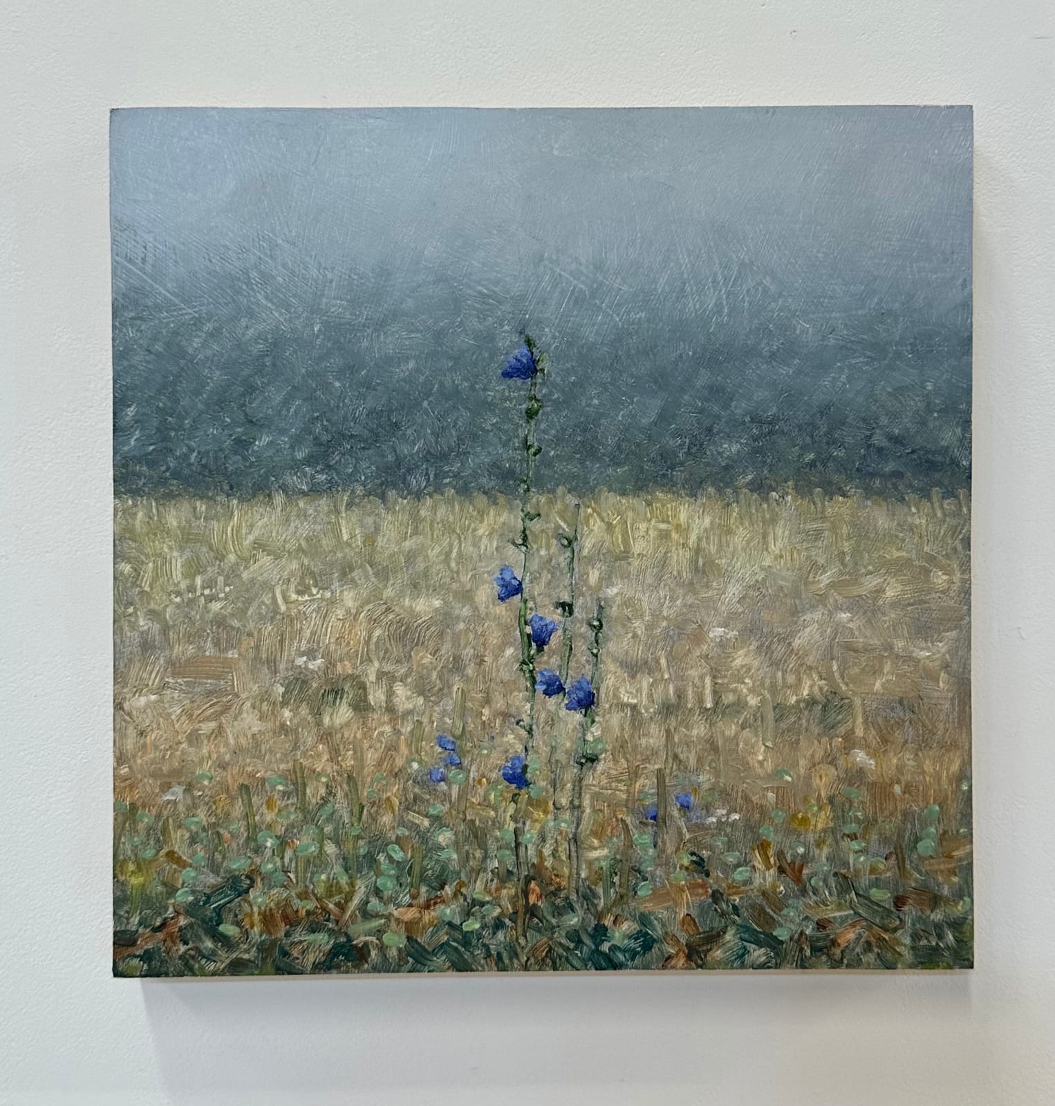 Thomas Sarrantonio, Field Painting September 12, 2023