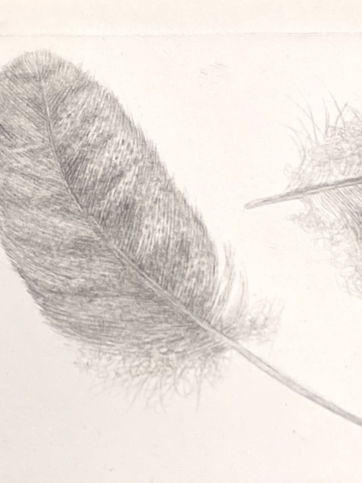 Margot Glass, Three Feathers, 2021