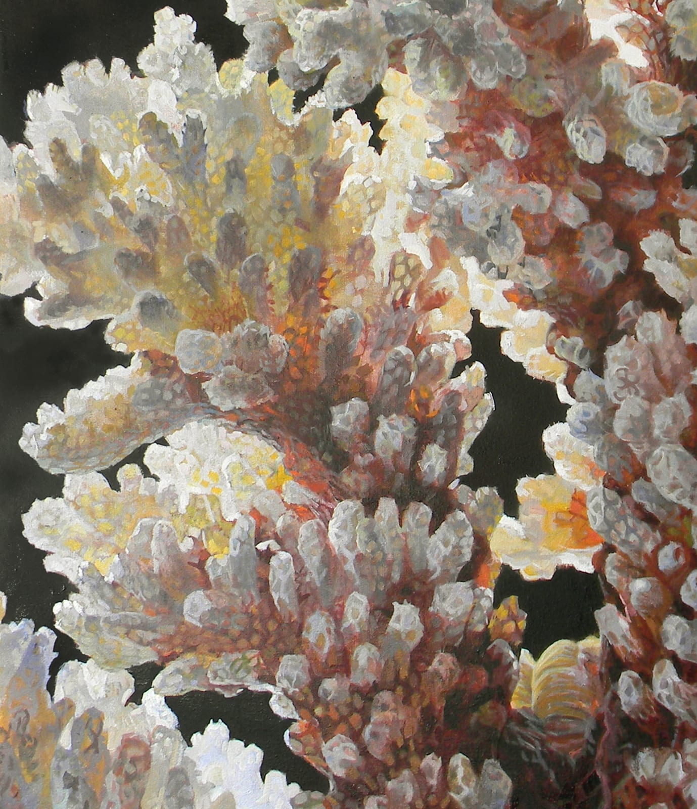 Andrea Kantrowitz, Verrucosa Sanguine, 2018