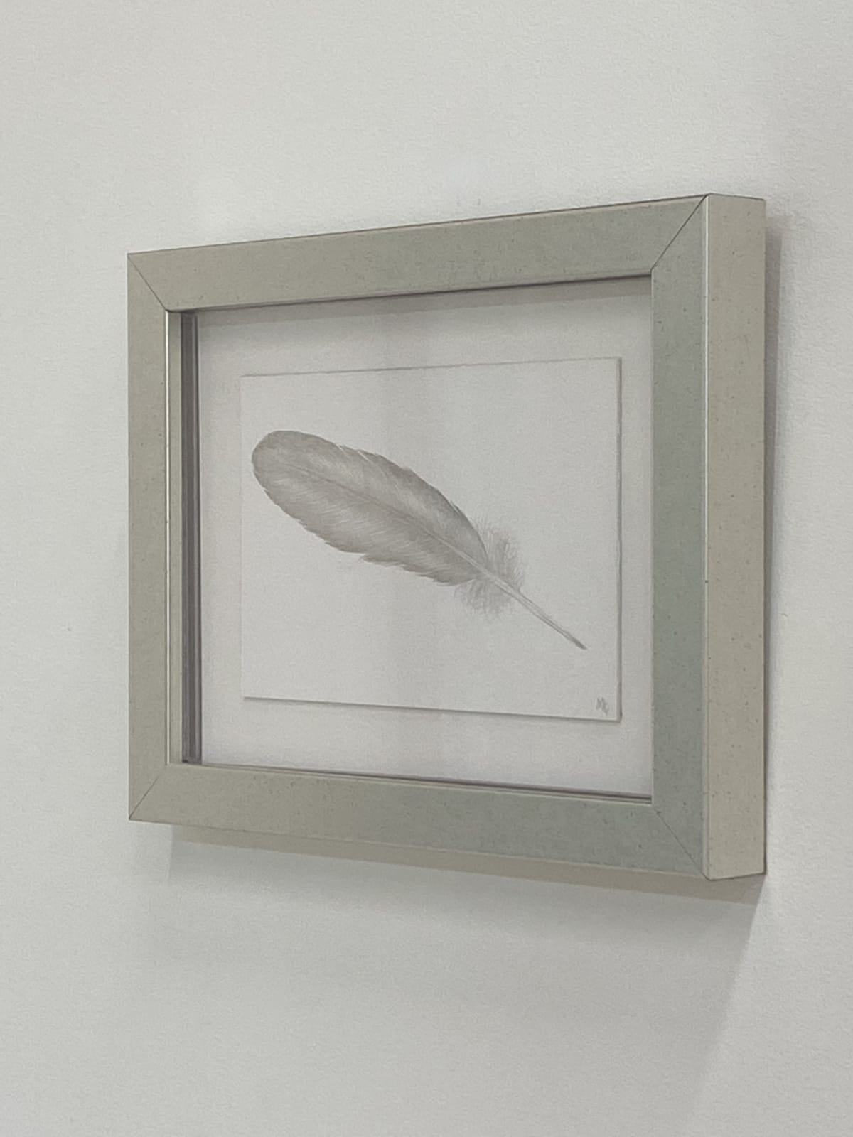 Margot Glass, Small Grey Feather, 2021