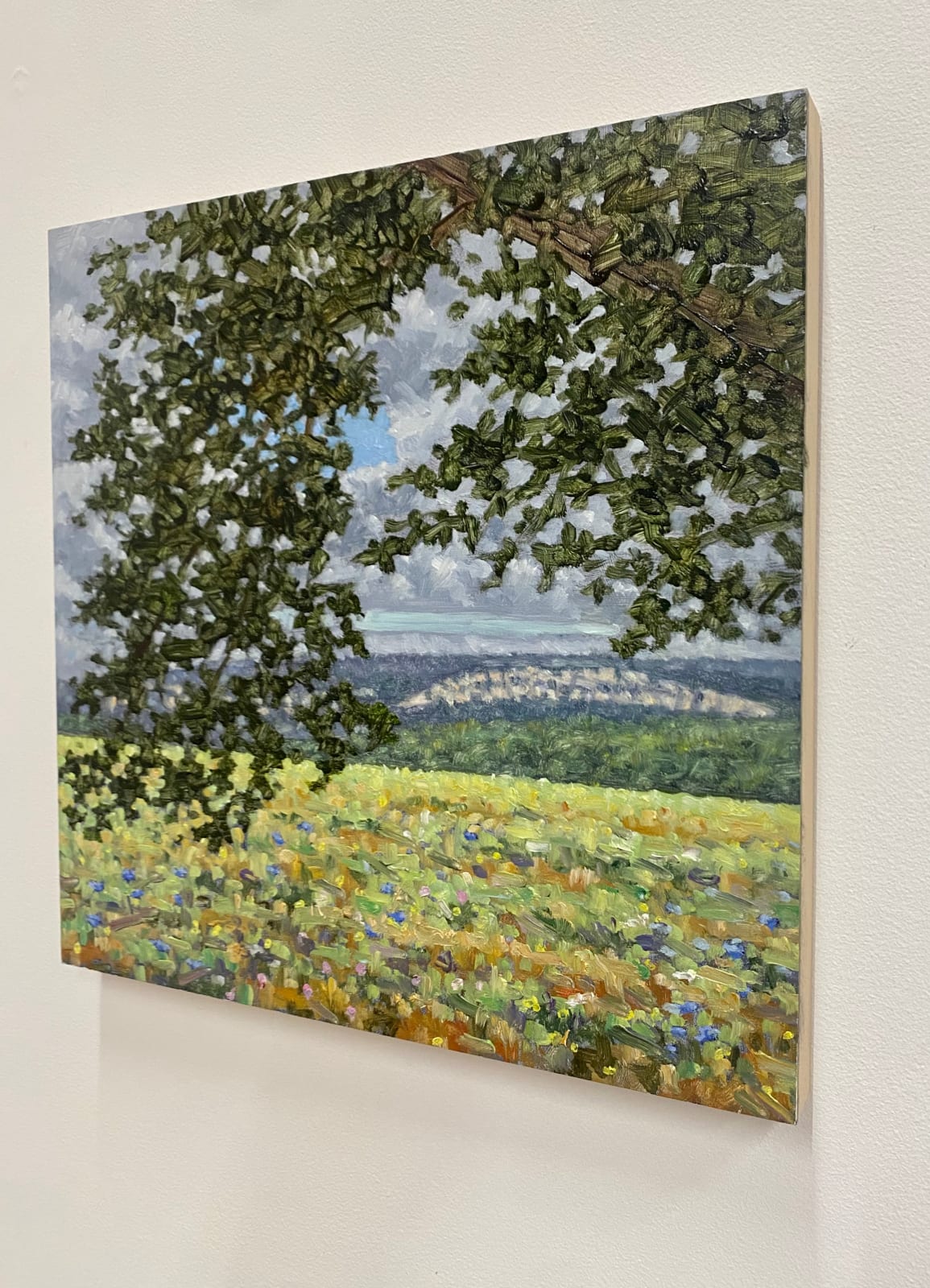 Thomas Sarrantonio, Field Painting July 19, 2021