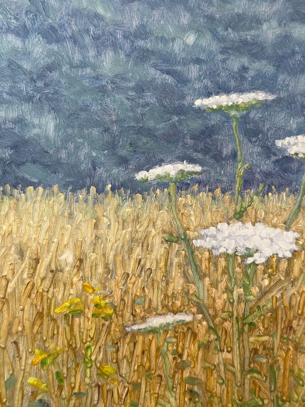 Thomas Sarrantonio, Field Painting July 15, 2024
