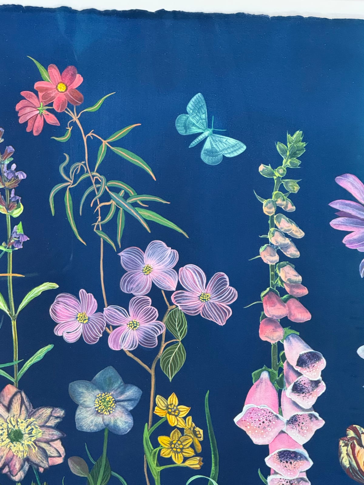 Julia Whitney Barnes, Picturesque Botany (Tulip, Magnolia, Dogwood, Foxglove, Crocus, Pollinators, etc.), 2025