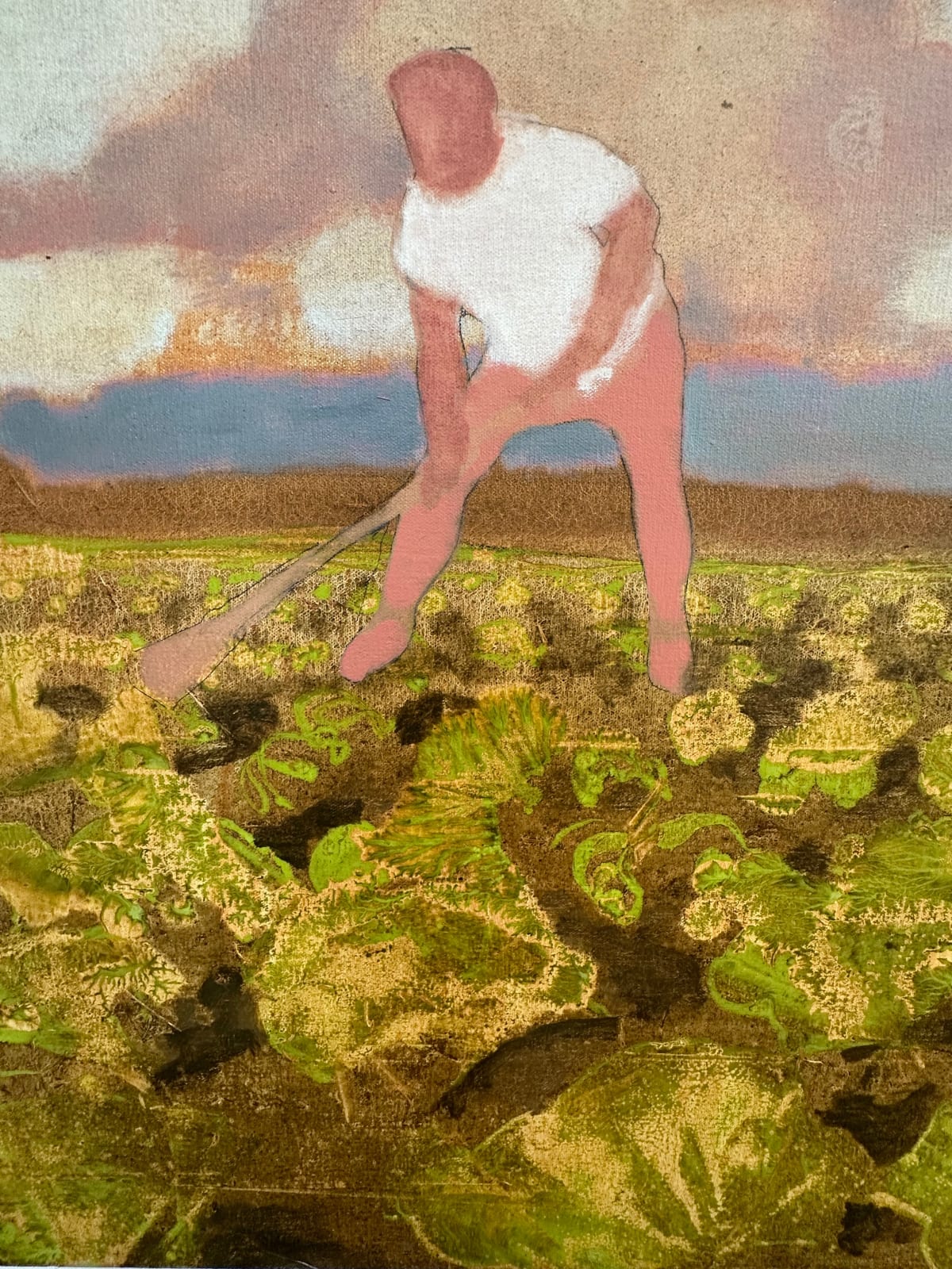 David Konigsberg, Cabbage Field, 2023