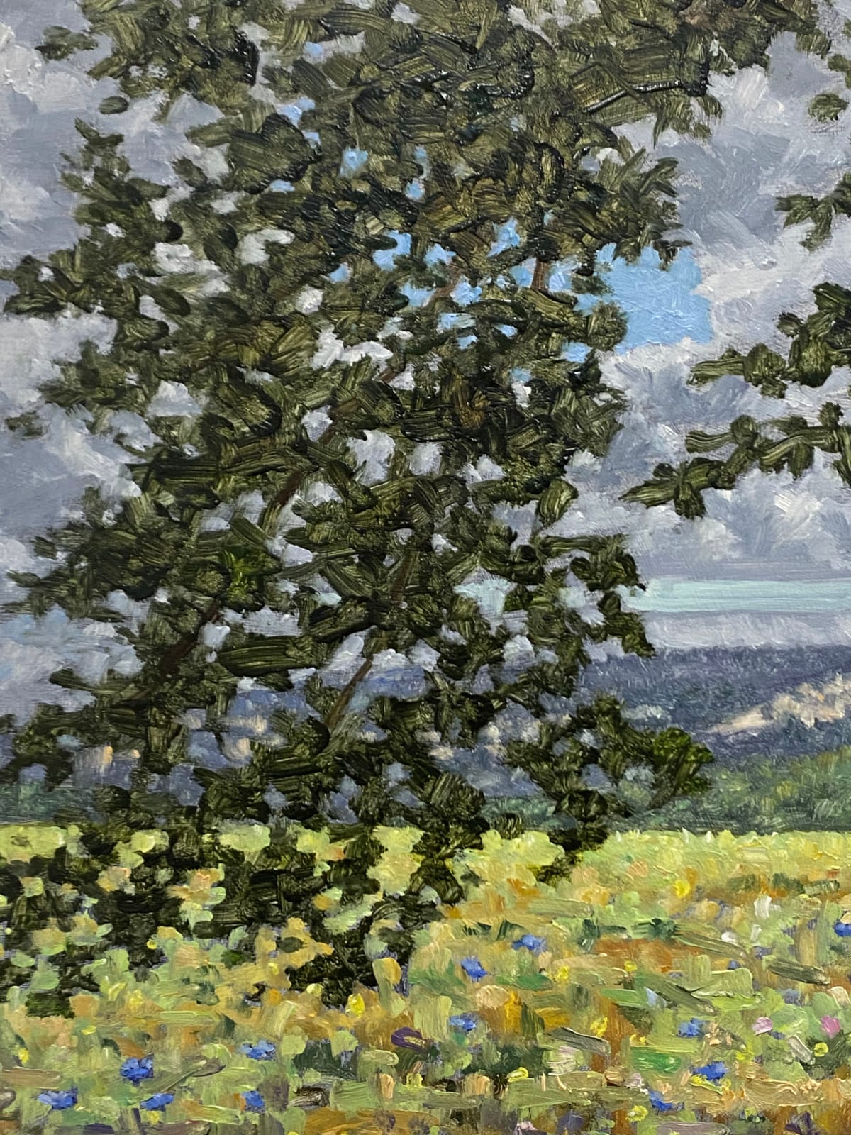Thomas Sarrantonio, Field Painting July 19, 2021
