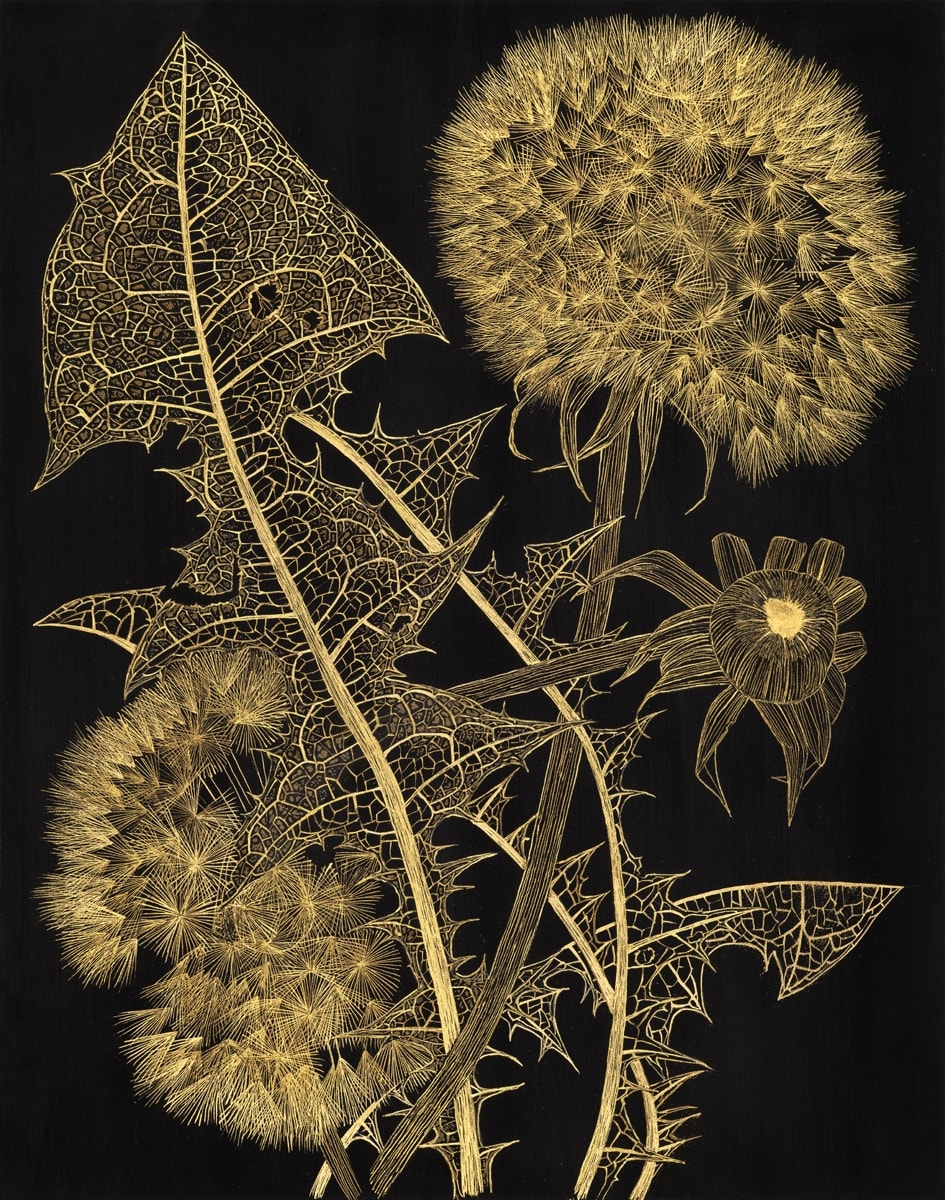 Margot Glass, Dandelions with Bud 2, 2024