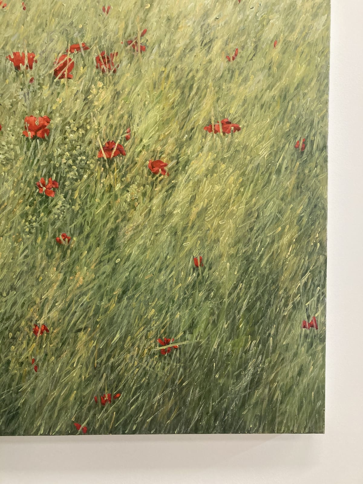 Thomas Sarrantonio, Poppies, 2020