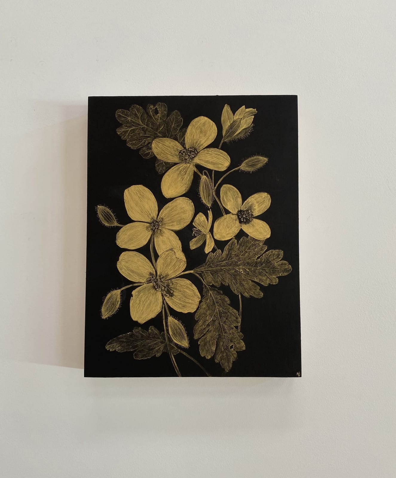 Margot Glass, Celandine, 2021