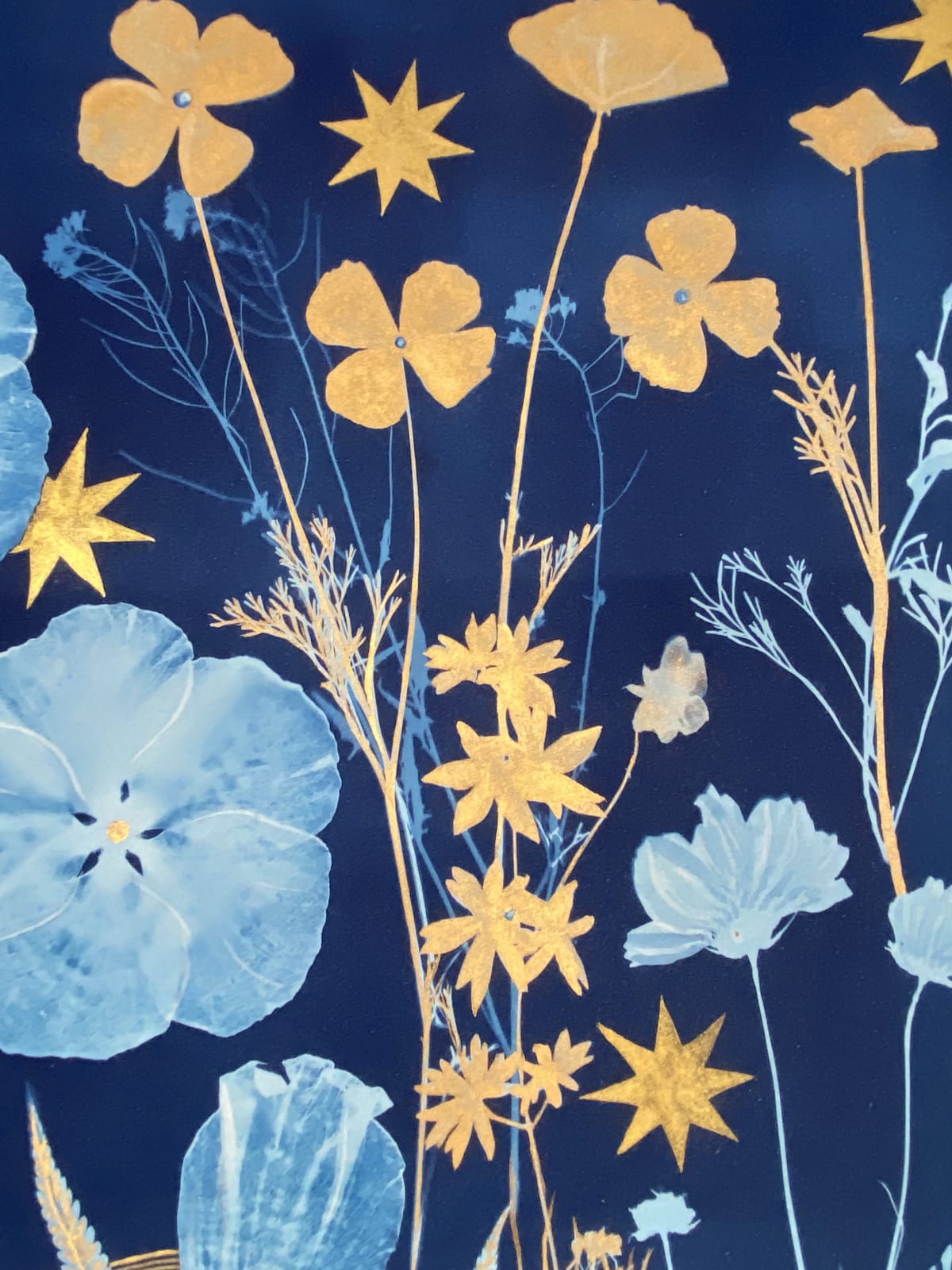 Julia Whitney Barnes, Cyanotype Painting (Gold Cosmos, Rose of Sharon, Stars, Floor Pattern), 2021