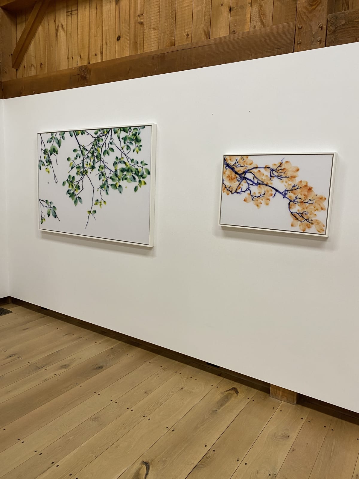 Jackie Battenfield, Hot Wind cs2, 2020