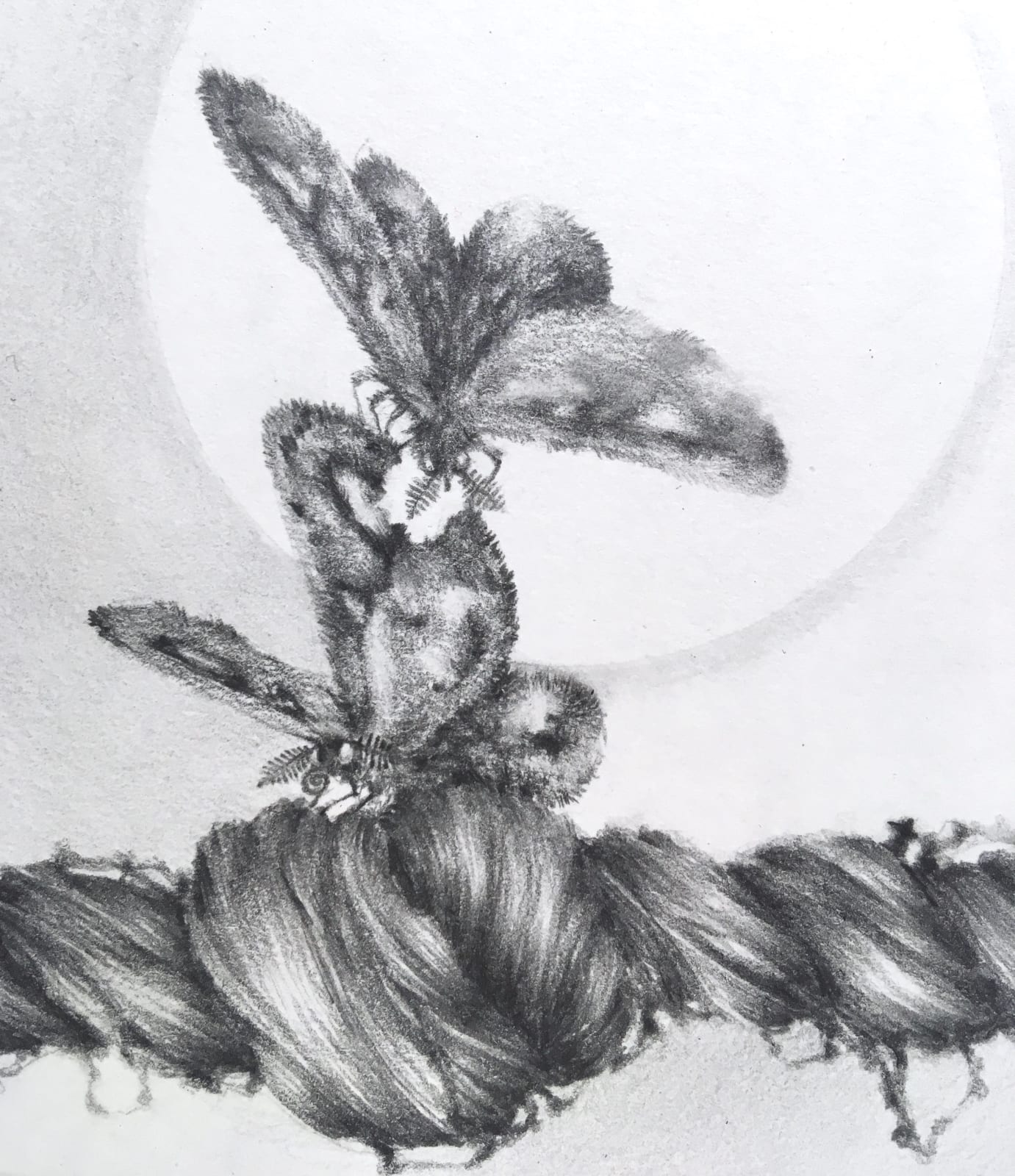 Francine Fox, Chapter Fine Focus, 2012