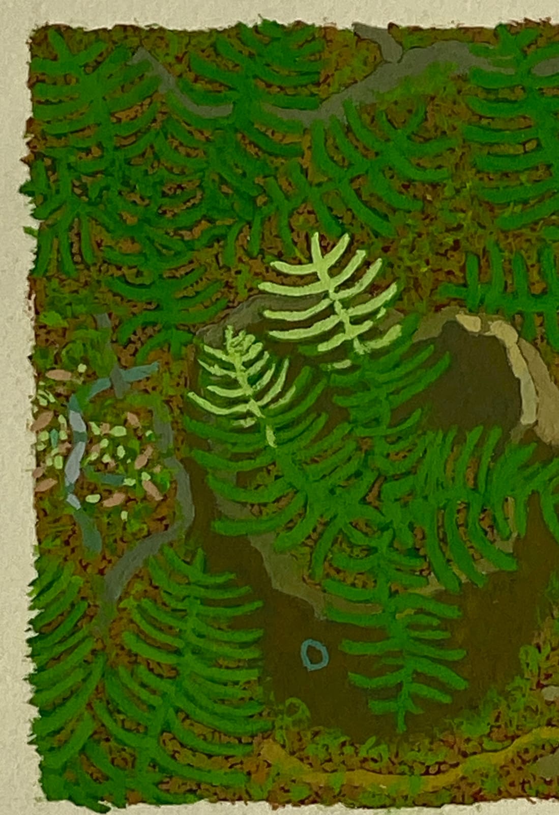 Gregory Hennen, Stump and Ferns, May, Wyatt Mt., 2018