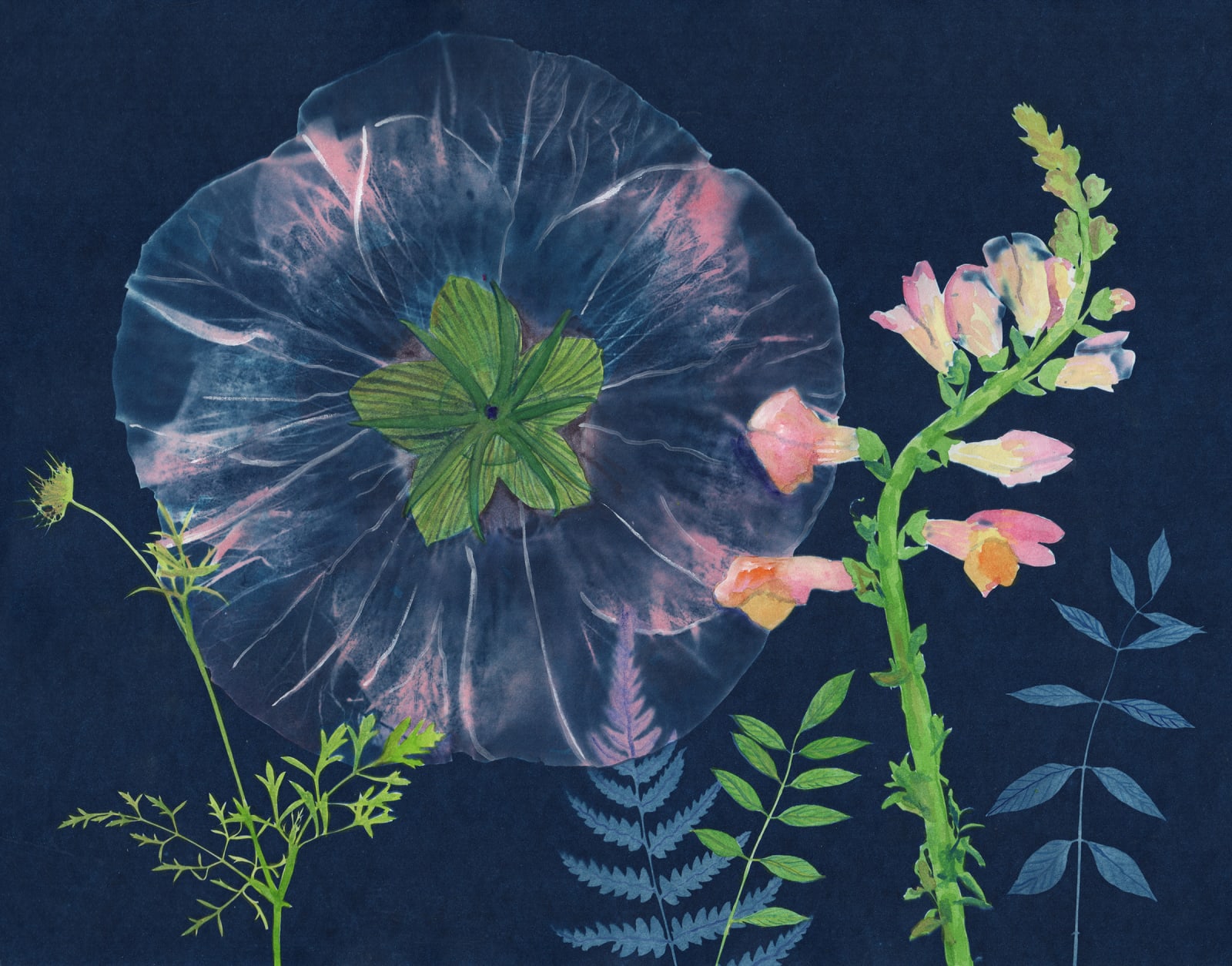 Julia Whitney Barnes, Cyanotype Painting (Giant Hibiscus), 2020