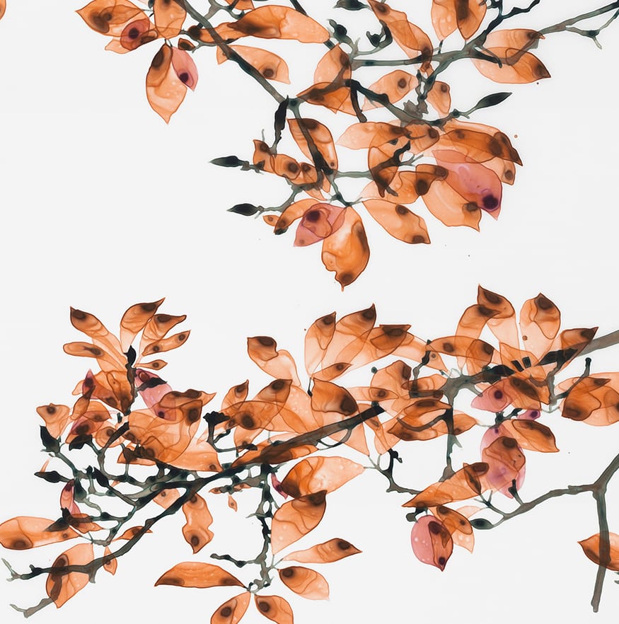 Jackie Battenfield, Coral Fling, 2018