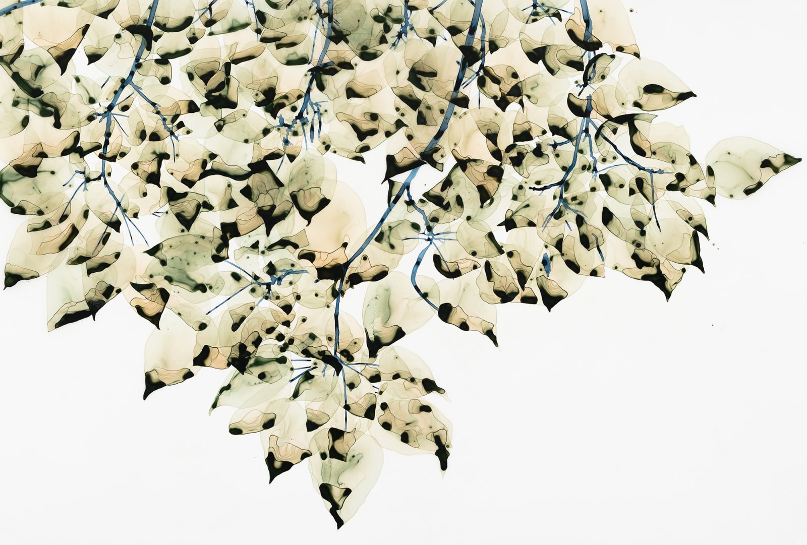 Jackie Battenfield, Virescent, 2019