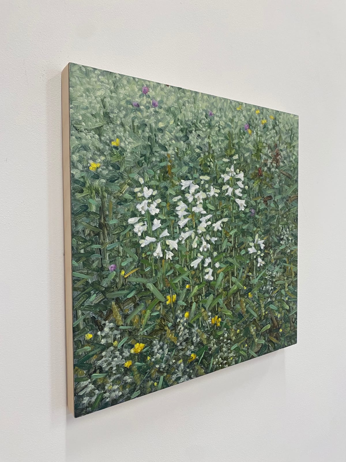 Thomas Sarrantonio, Field Painting June 11, 2021