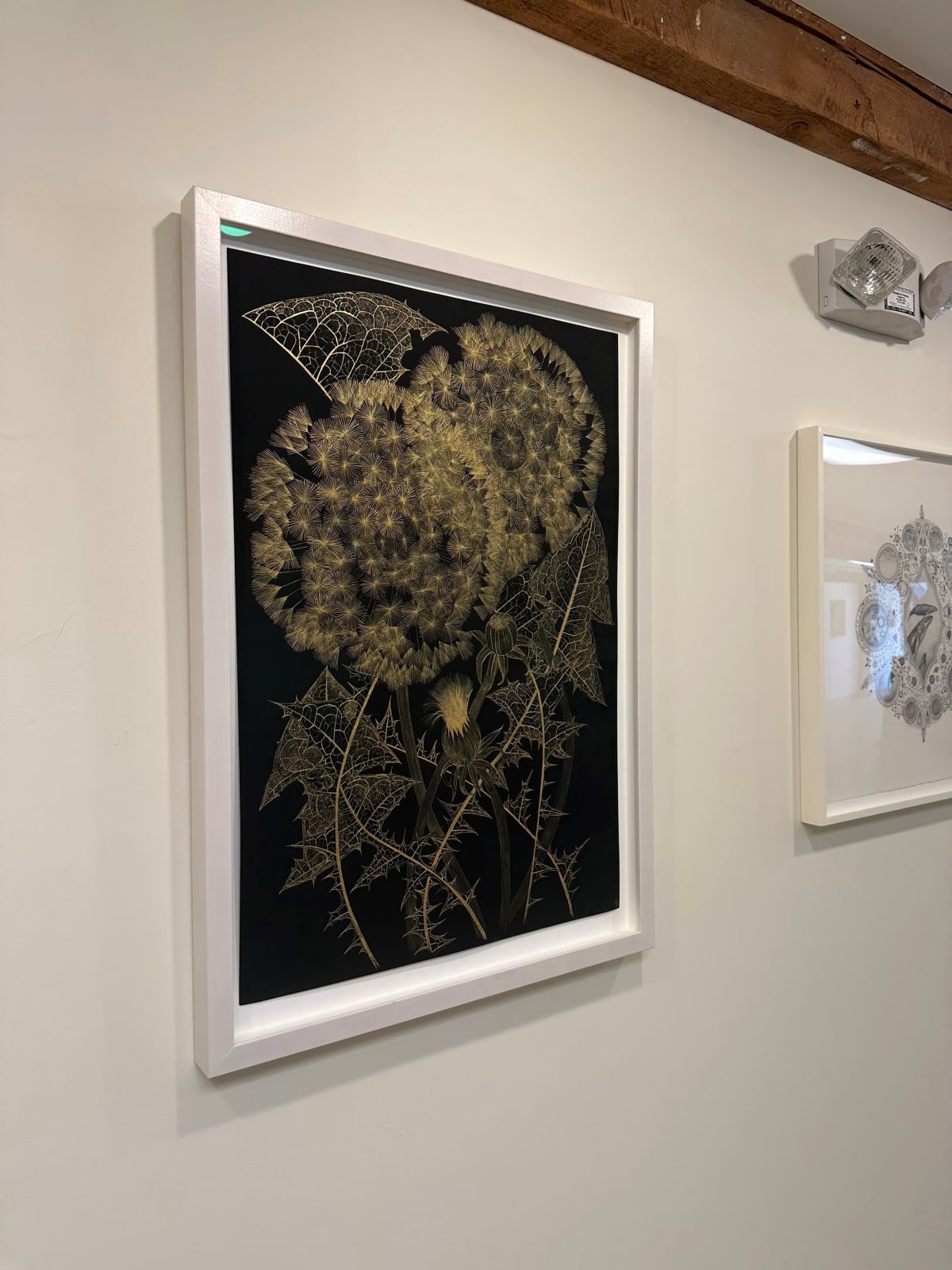 Margot Glass, Large Dandelion 7, 2023
