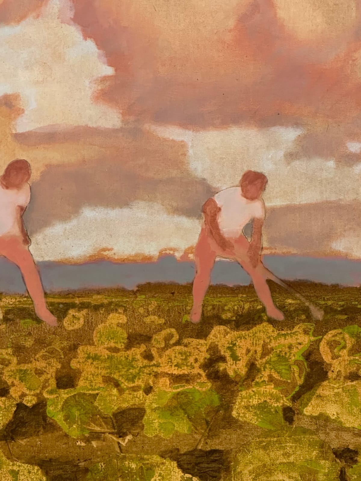 David Konigsberg, Cabbage Field, 2023