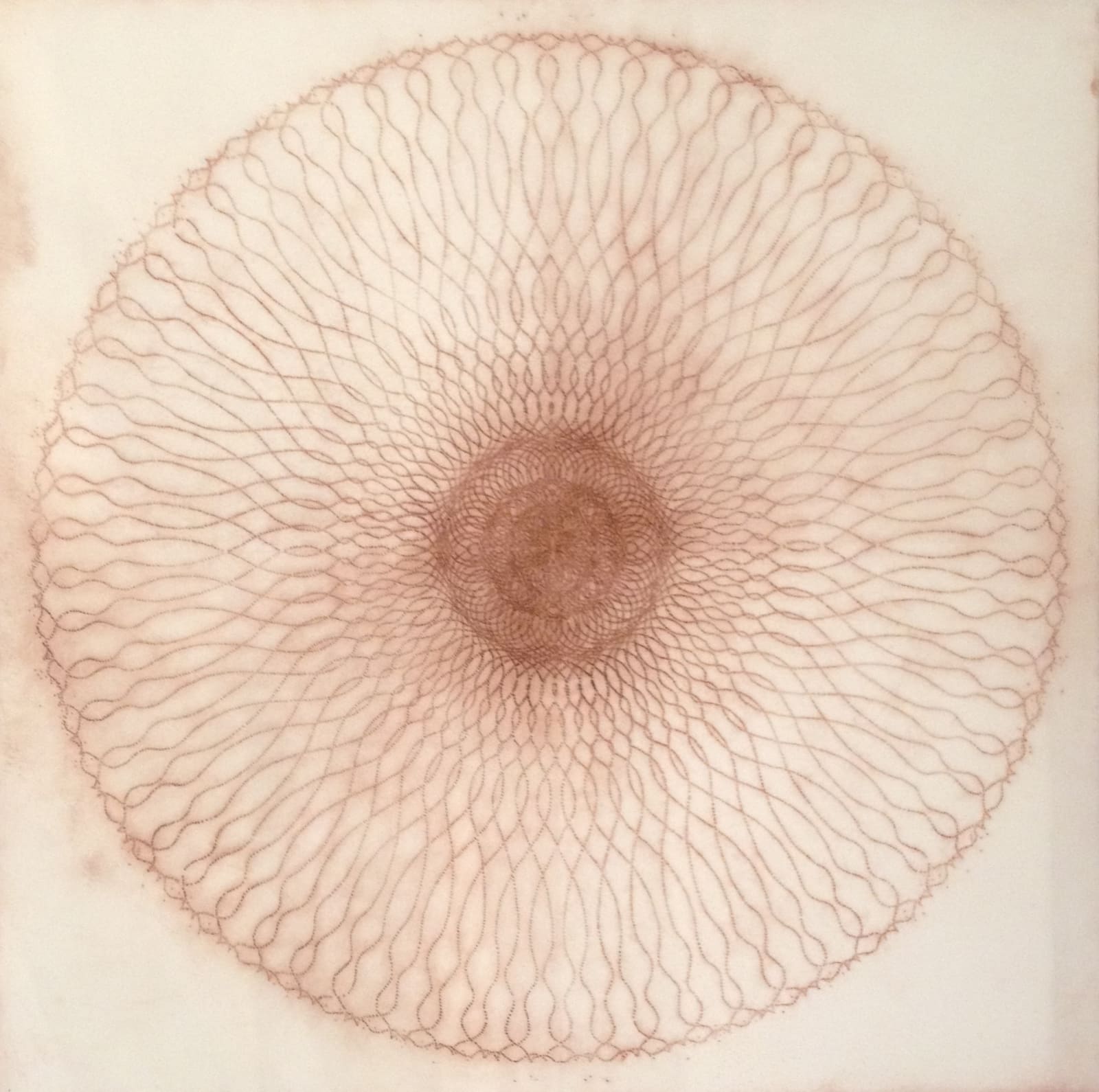 Mary Judge, Exotic Hex Series, 112/07, 2007