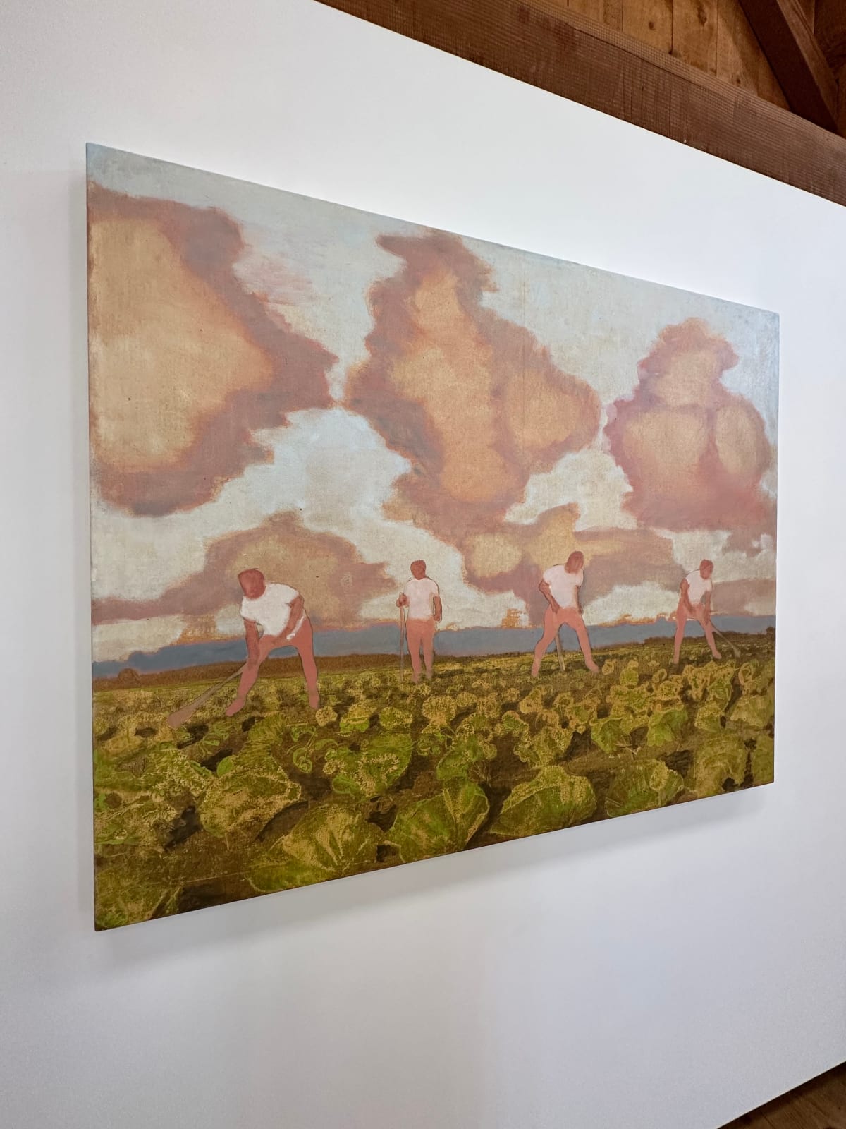 David Konigsberg, Cabbage Field, 2023