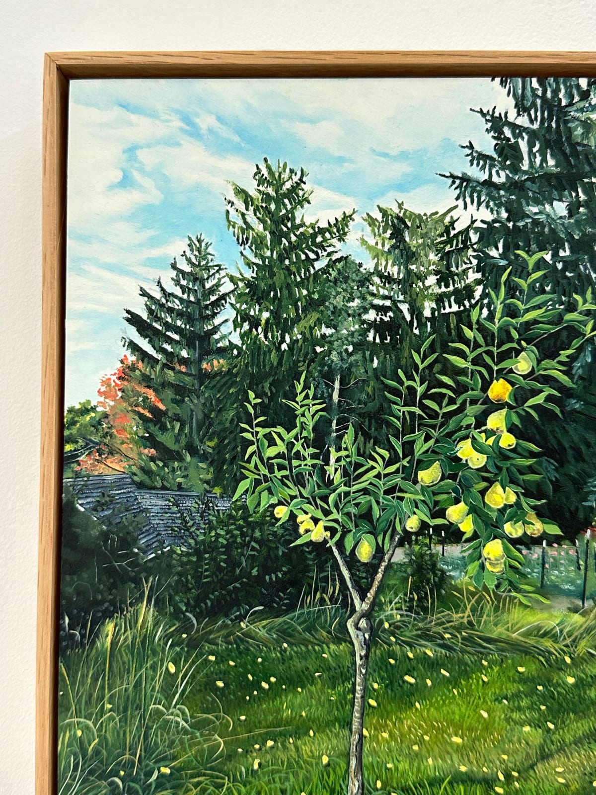 Amanda Acker, Backyard Pear, 2023